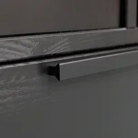 WOOOD Adam 2-Deurs Kast Grenen Zwart